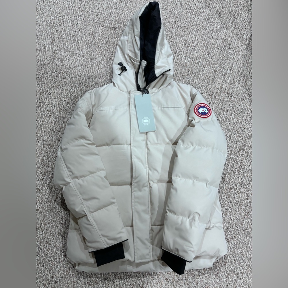 Canada goose